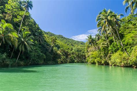 craigslist bohol philippines.